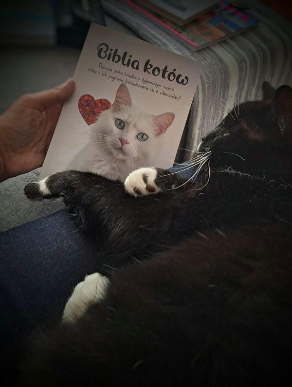 Biblia kotów w domu czytelniczki