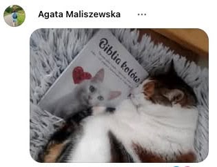 Biblia kotów — praktyczne wskazówki na problematyczne zachowania
