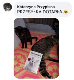 Biblia kotów — rozdział o sikaniu poza kuwetą